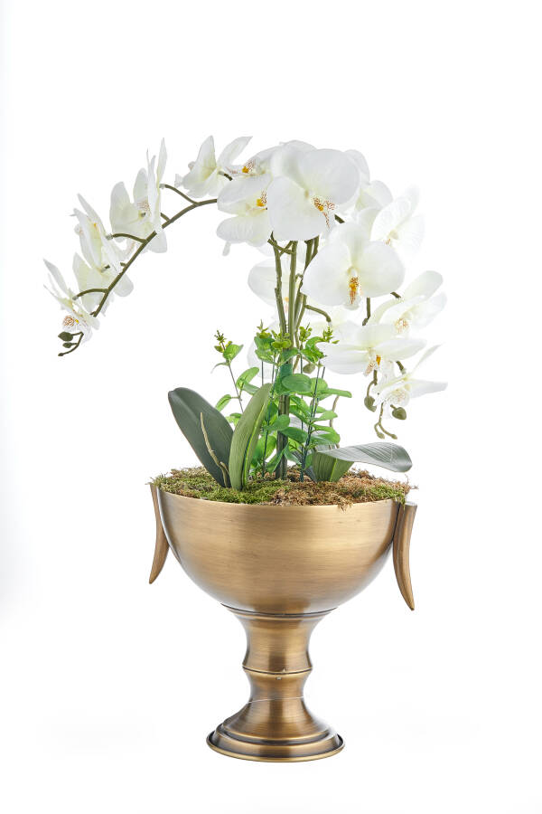 Cornella Fildişi Ayaklı Kase 25 Cm Eskitme ( Ambıance-120 ) - 1